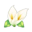 海芋手環-T